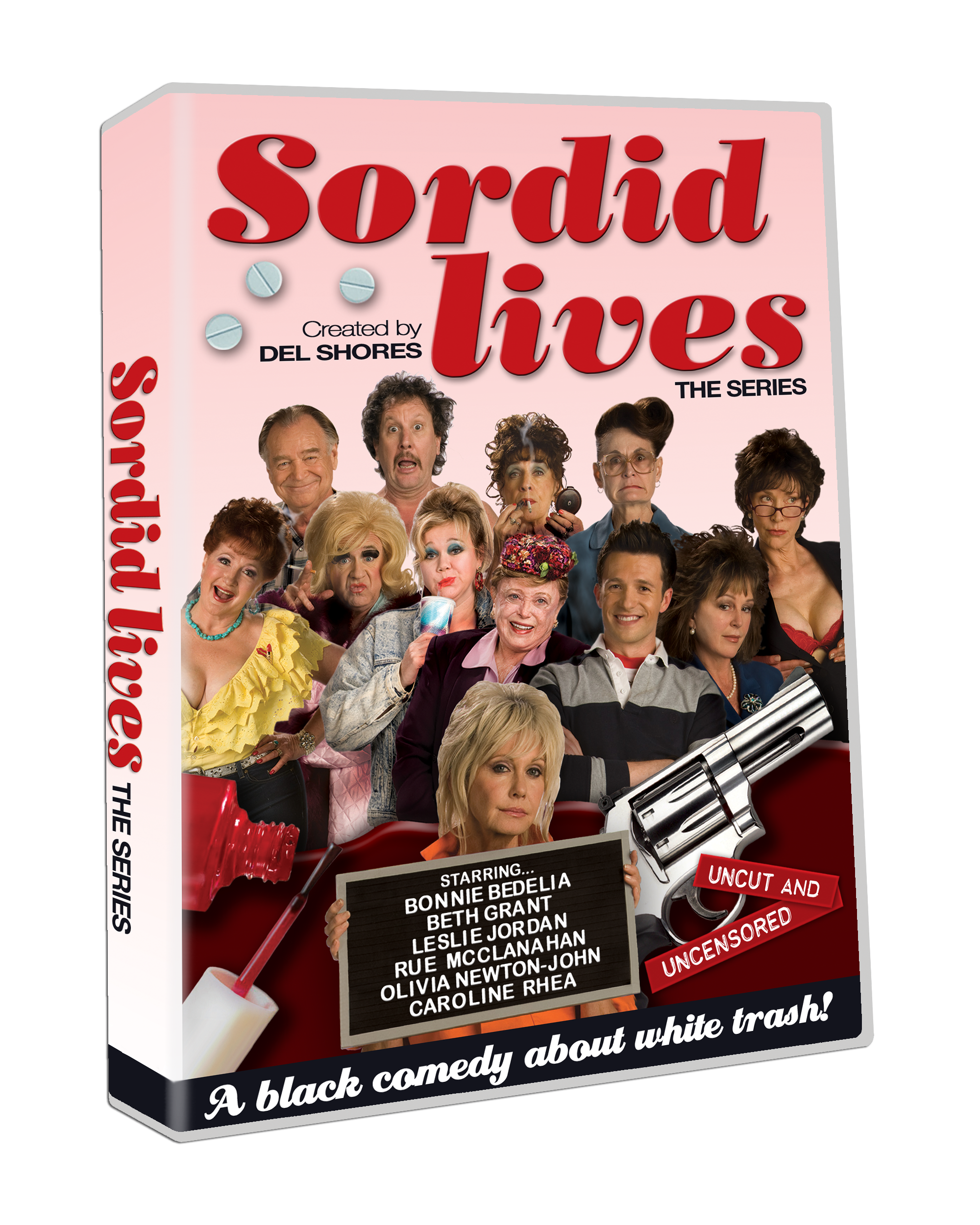 Sordid Lives: The Series [DVD] #7171 – Visual Entertainment Inc